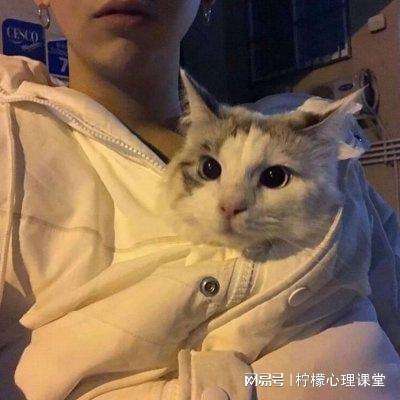 全民枪神边境王者手机版下载